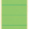 16400055 - LEITZ/ESSELTE Rugetiket Zelfklevend Groen 10st 58x290mm