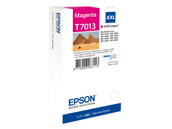C13T70134010 - EPSON Inkt Cartridge T7013 Magenta 34ml 1st