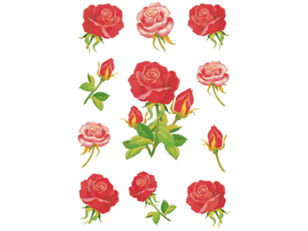 3581 - HERMA Speciaal Etiket Bloemen no:3581 1 Pak