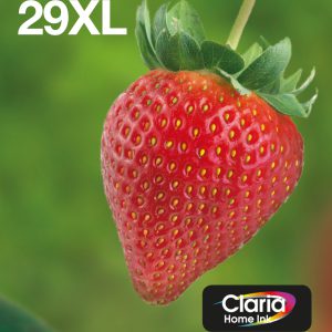 Epson multipack 4-colours 29xl easymail