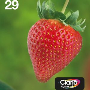 Epson multipack 4-kleuren 29 easymail