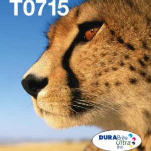 Epson easymail mp cheetah durabrite ultra cmyk