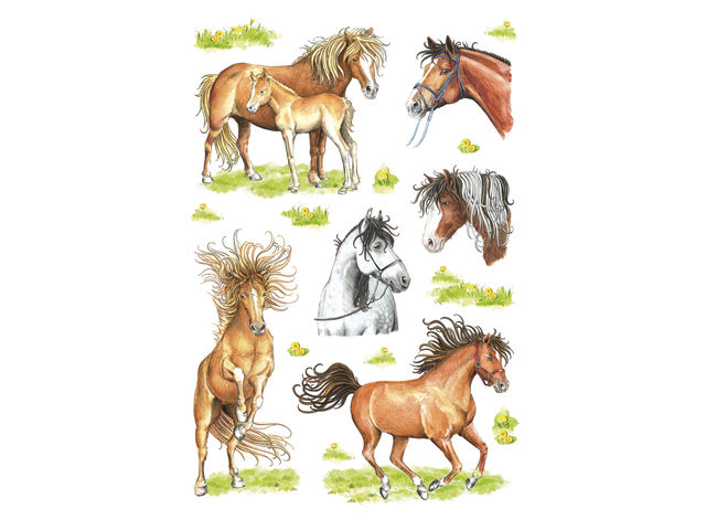 3307 - HERMA Speciaal Etiket Paarden no:3307 18st