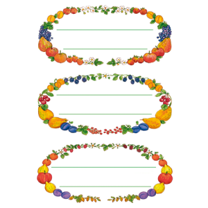 3598 - HERMA Speciaal Etiket Keuken no:3598 1 Pak