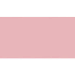 100590068 - ELBA Scheidingsstrook 2-Gaats 190gr Roze 100st 105x240mm