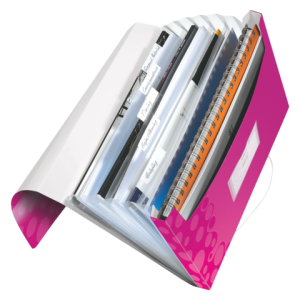 45890023 - LEITZ Projectmap WOW 200vel Roze 1st A4