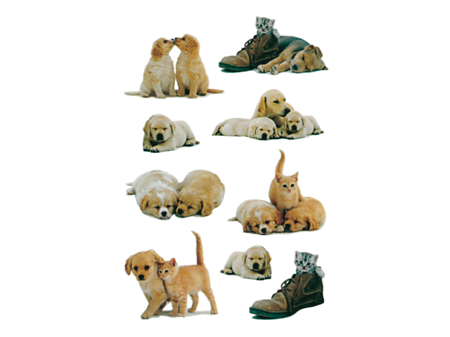 5606 - HERMA Speciaal Etiket Honden no:5606 Diverse Kleuren 1 Pak