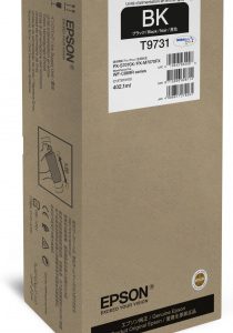 C13T973100 - EPSON Inkt Cartridge Black 22.500vel 1st