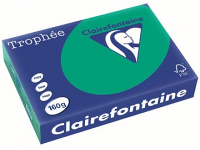 1019 - Clairfontaine Kopieerpapier A4 160g/m² Groen 250vel