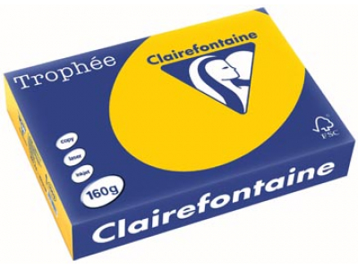 1053 - Clairfontaine Kopieerpapier A4 160g/m² Geel 250vel