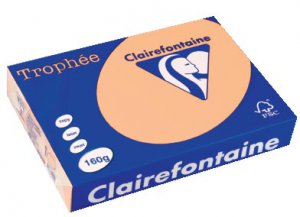 1104 - Clairfontaine Kopieerpapier A4 160g/m² Oranje 250vel