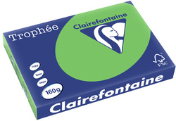 1114 - Clairfontaine Kopieerpapier A3 160g/m² Groen 250vel