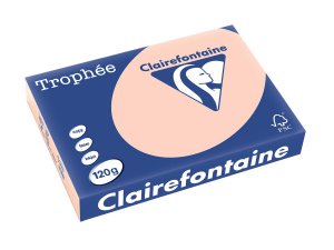 1209 - Clairfontaine Kopieerpapier A4 120g/m² Roze 250vel