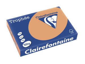 1244 - Clairfontaine Kopieerpapier A4 120g/m² Bruin 250vel