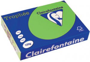 1293 - Clairfontaine Kopieerpapier A4 120g/m² Groen 250vel