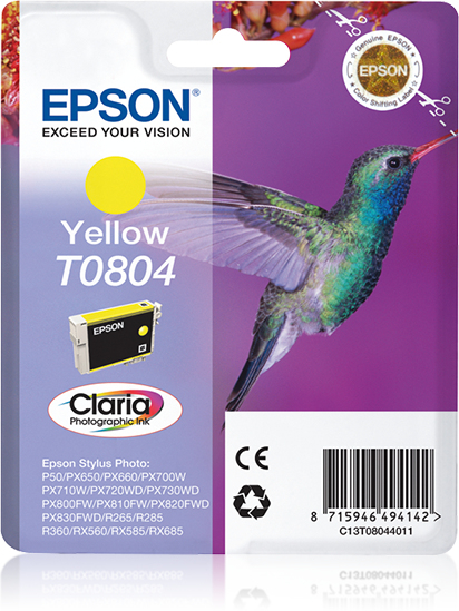 C13T08044021 - EPSON