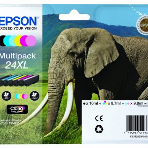 C13T24384020 - EPSON