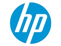 M0J74AE - HP 991A Cyaan 8.000vel