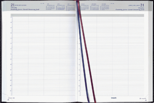 0.002.1345.01.6 - Brepols Agenda Bremax II 1dag/2pag. A4 Zwart 1st